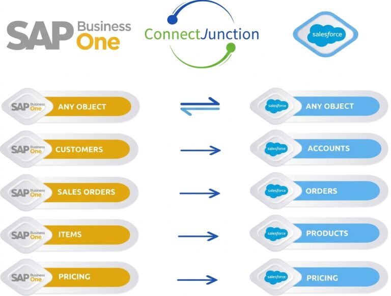 ConnectJunction for SAP B1 Data Matrix